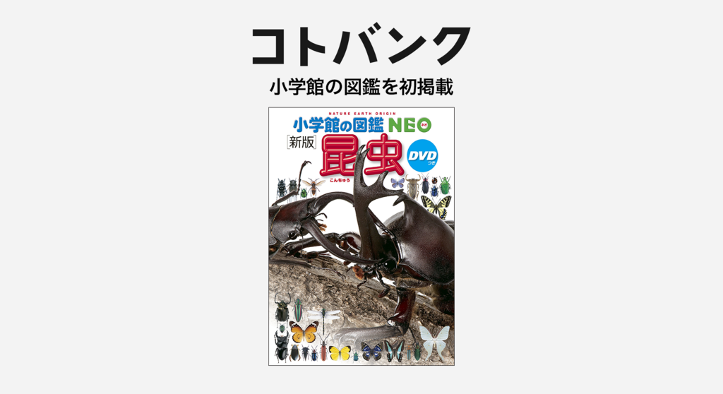 無料ウェブ百科事典「コトバンク」、「小学館の図鑑NEO[新版]昆虫」を追加 ｜ 株式会社CARTA HOLDINGS